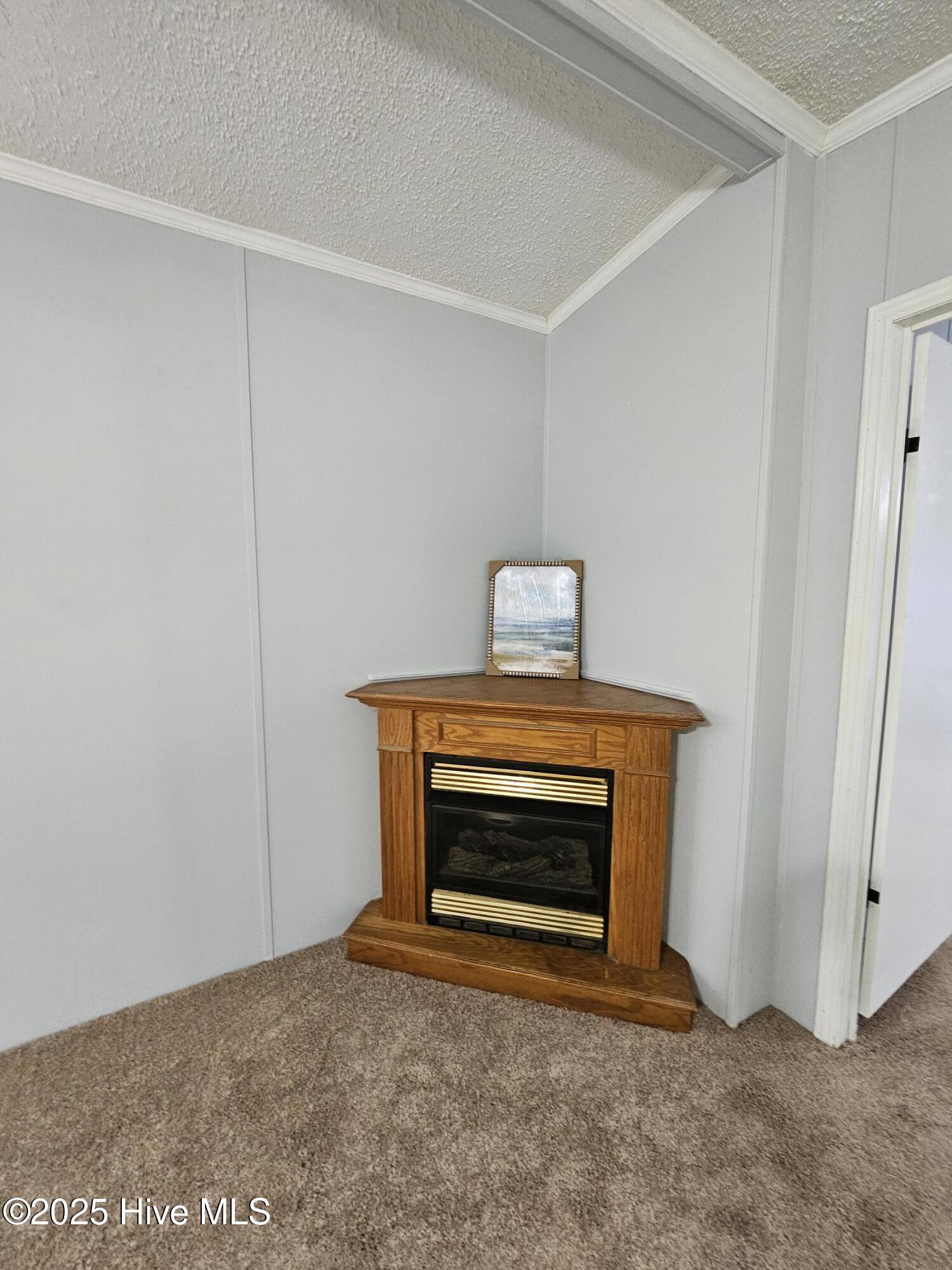 401 Pawnee Road Harrellsville, NC 27942 - Photo 4 of 39 20250723_175920
