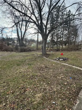 a view of outdoor space with trees
