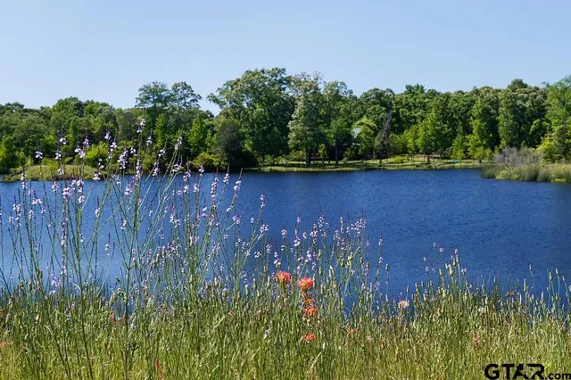 $139,900 | 19 Lakeside Drive, Montalba, TX 75853