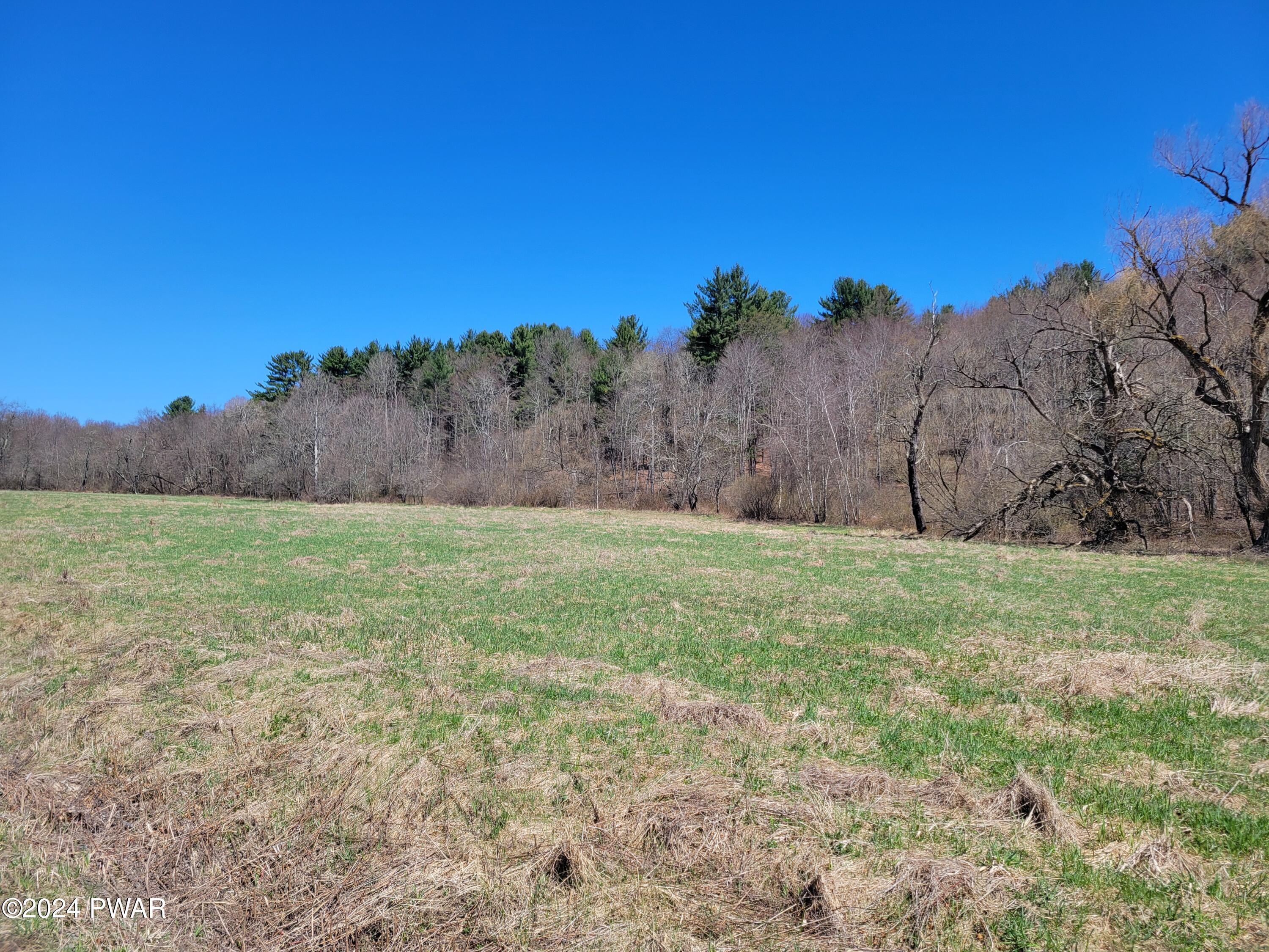64 Chinamans Road Lakewood, PA 18439 - Photo 7 of 14