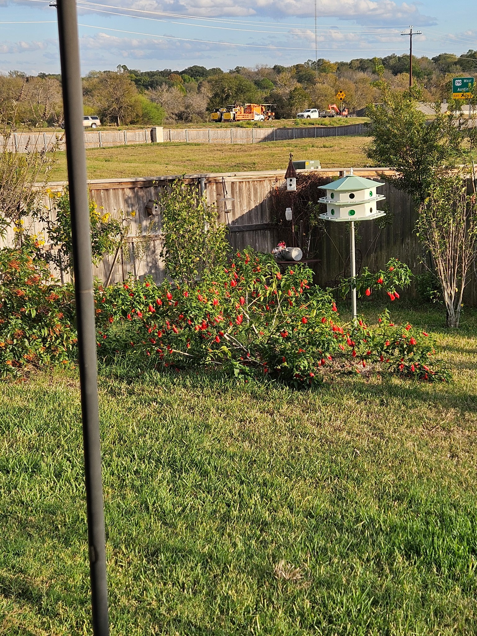 2001 Vineyard Pass Brenham, TX 77833 - Photo 41 of 48