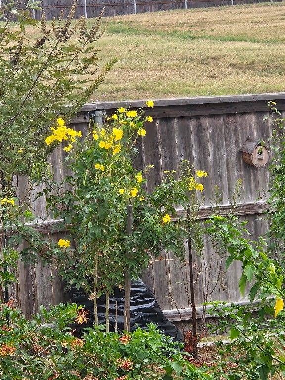 2001 Vineyard Pass Brenham, TX 77833 - Photo 43 of 48