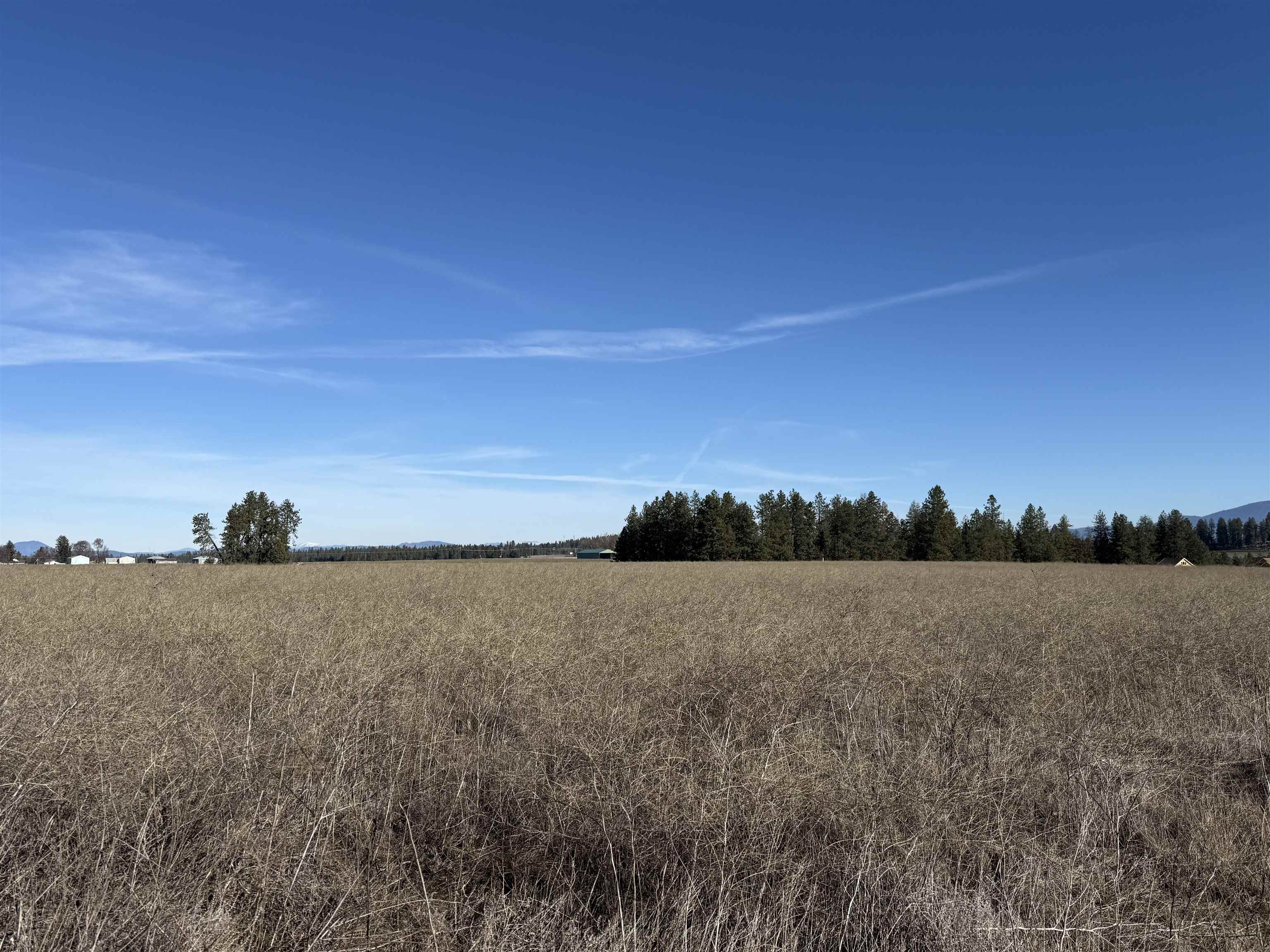 21-xxx North Division Road Colbert, WA 99005 - Photo 4 of 8