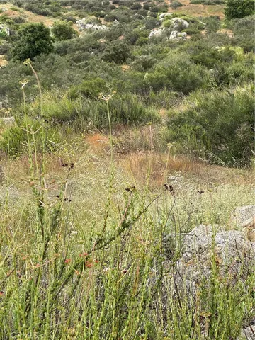 a view of a yard with an outdoor space