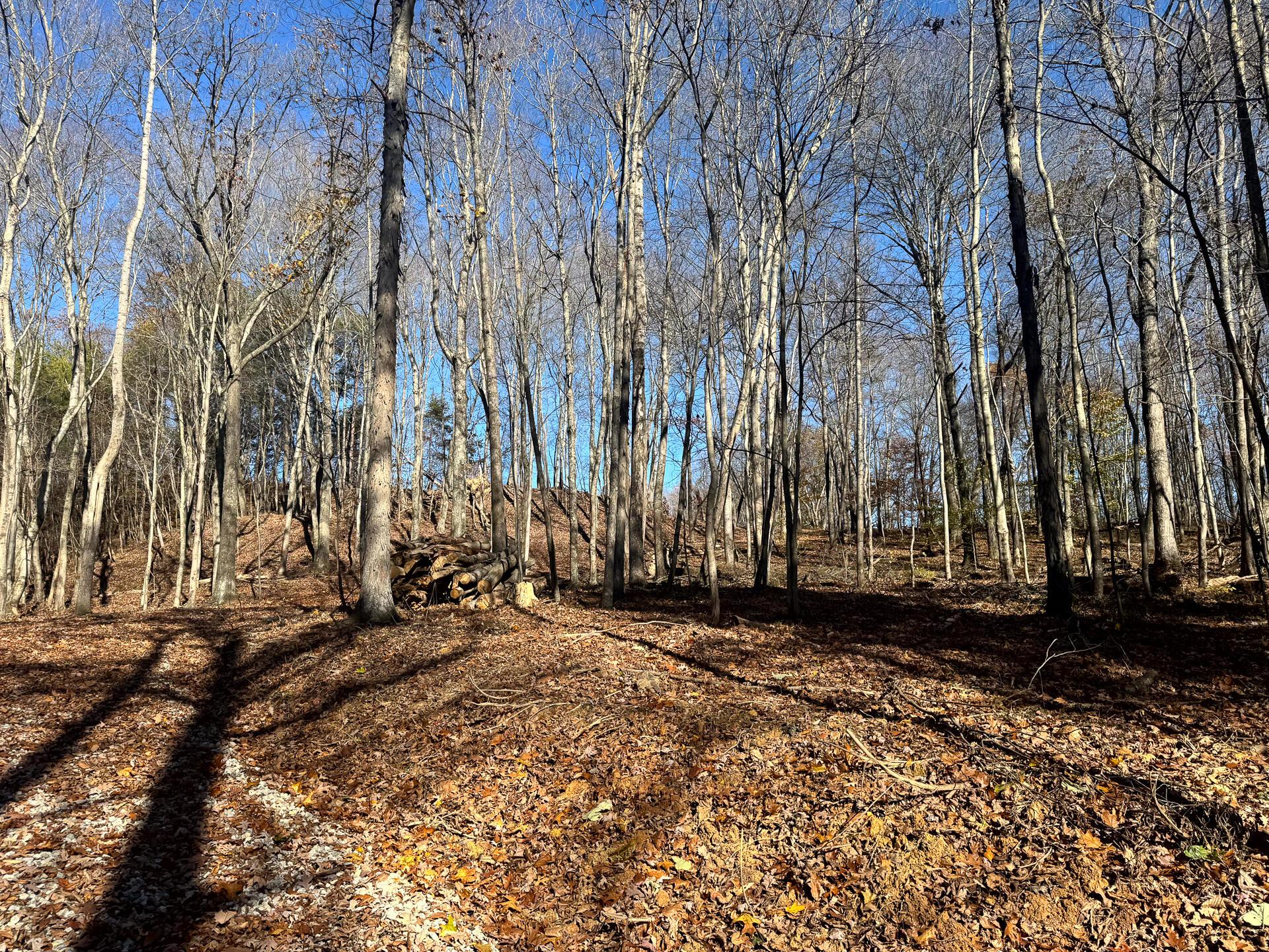 680 Nibert Road, Unit PONDS POPLAR RIDGE TRACT 10) Gallipolis, OH 45631 - Photo 15 of 46 CT-15
