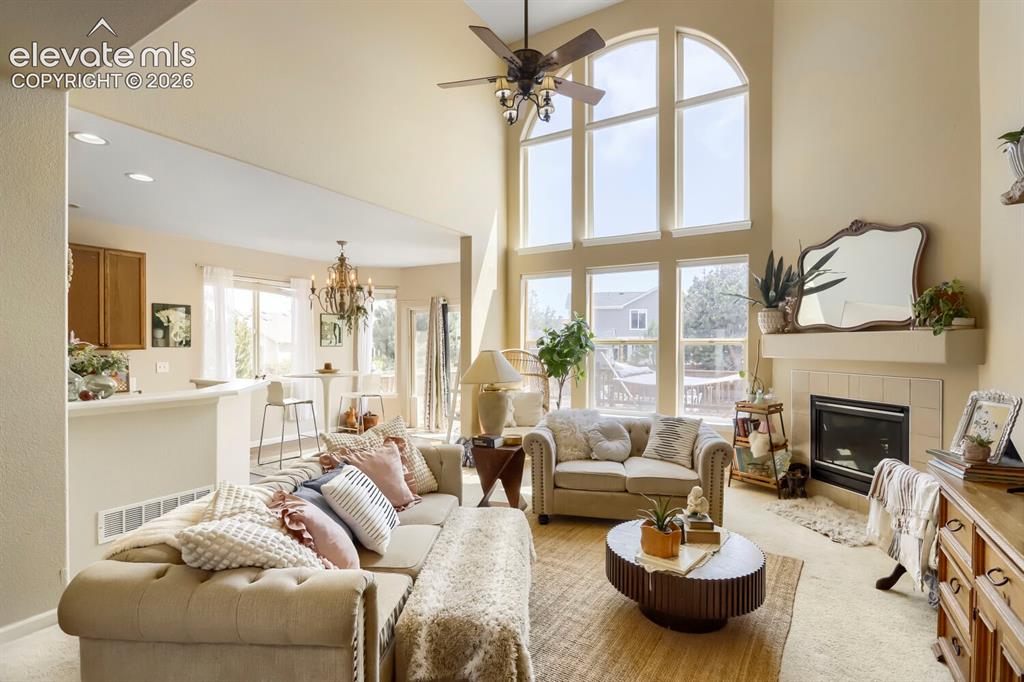 8939 Kingston Heath Road Peyton, CO 80831 - Photo 6 of 31 Vaulted Ceilings