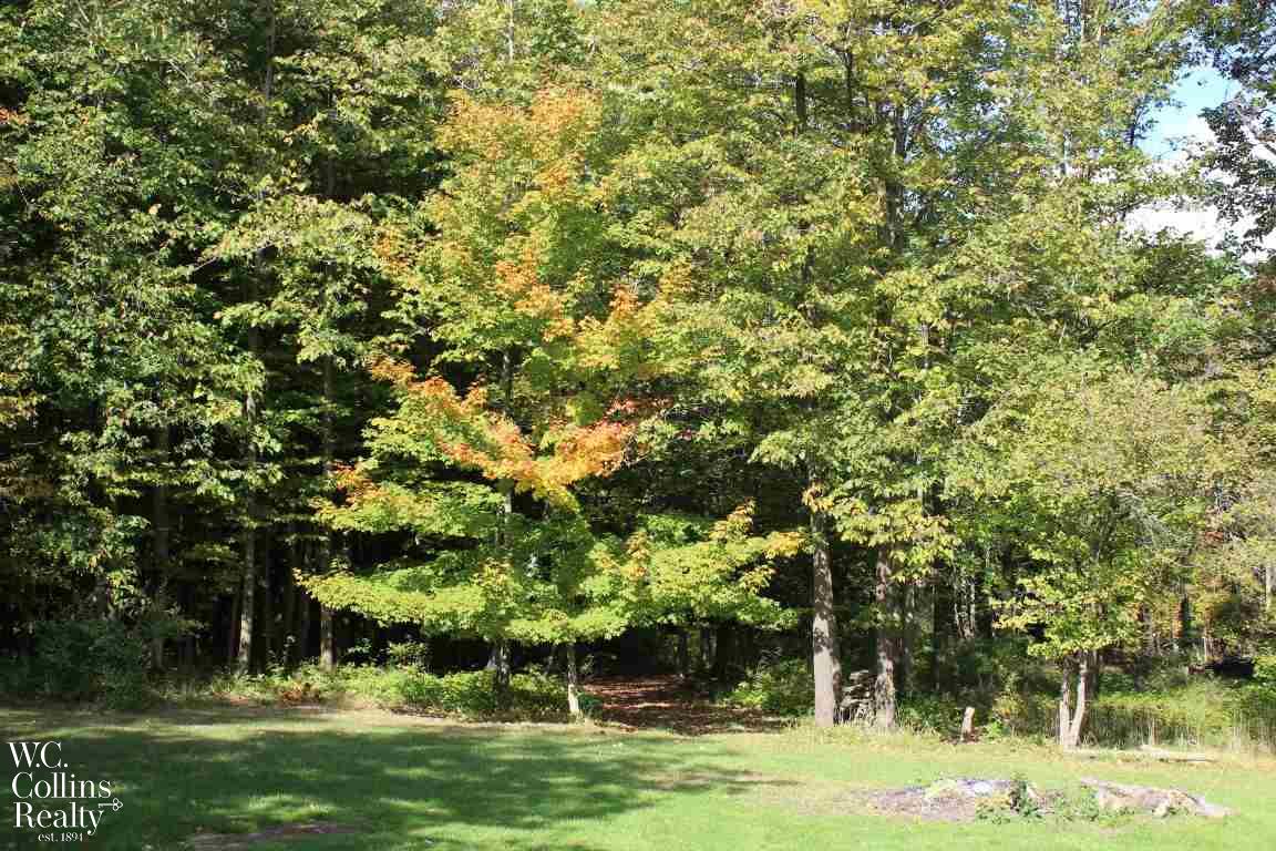 6285 Hough Road Almont, MI 48003 - Photo 30 of 32