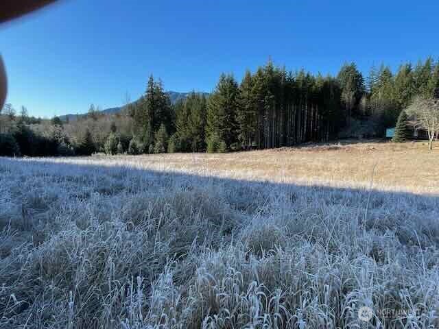 191 Mineral Road North Mineral, WA 98355 - Photo 19 of 32 a view of backyard with green space