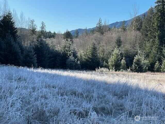 191 Mineral Road North Mineral, WA 98355 - Photo 20 of 32 a view of a yard