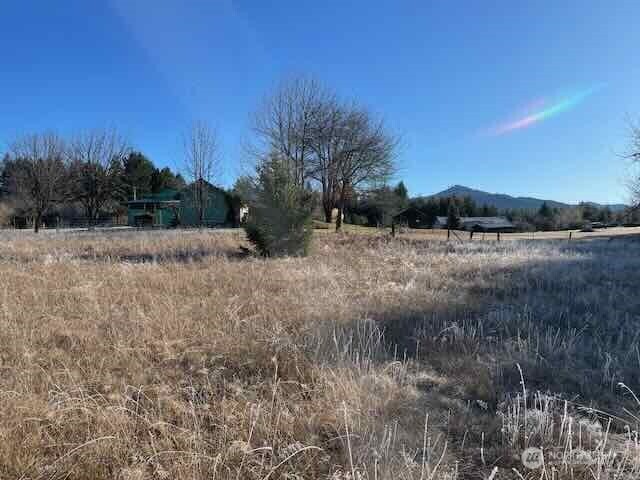 191 Mineral Road North Mineral, WA 98355 - Photo 21 of 32 a view of dirt and mountain view
