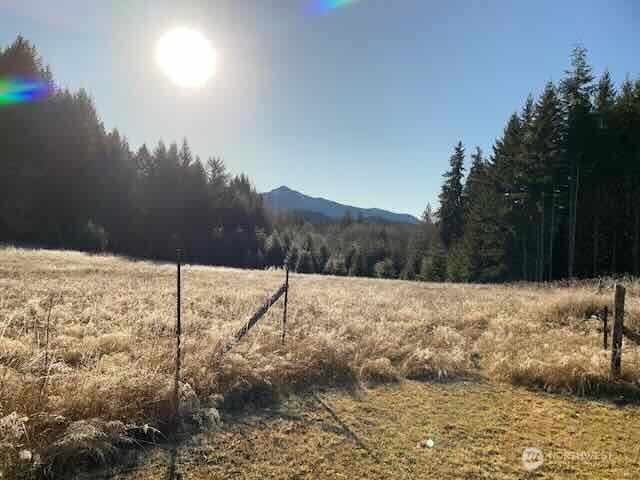 191 Mineral Road North Mineral, WA 98355 - Photo 23 of 32 a view of a yard with a snow