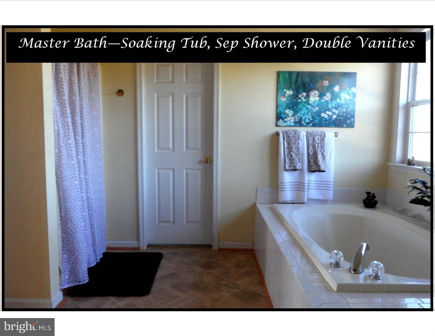 3028 Marker Road Middletown, MD 21769 - Photo 16 of 30 Bath (Master)