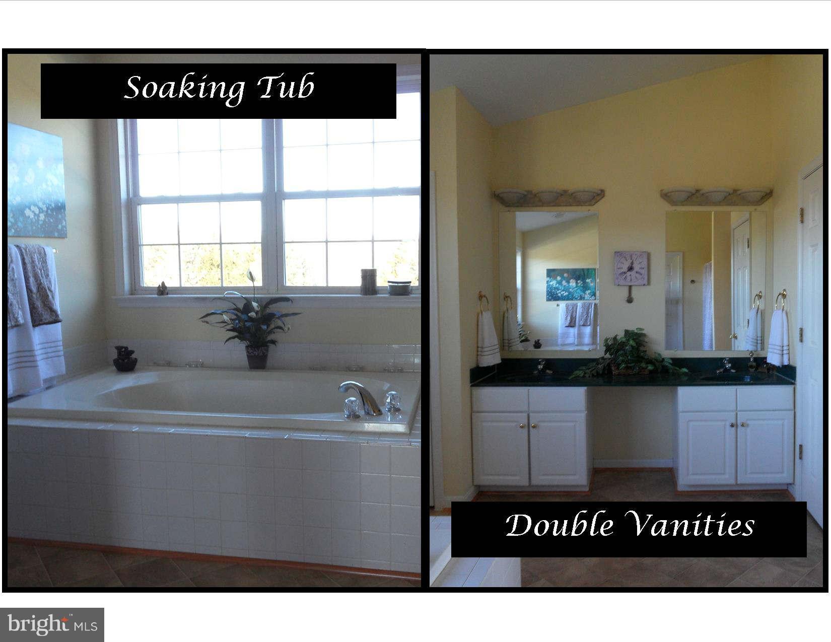 3028 Marker Road Middletown, MD 21769 - Photo 17 of 30 Bath (Master)