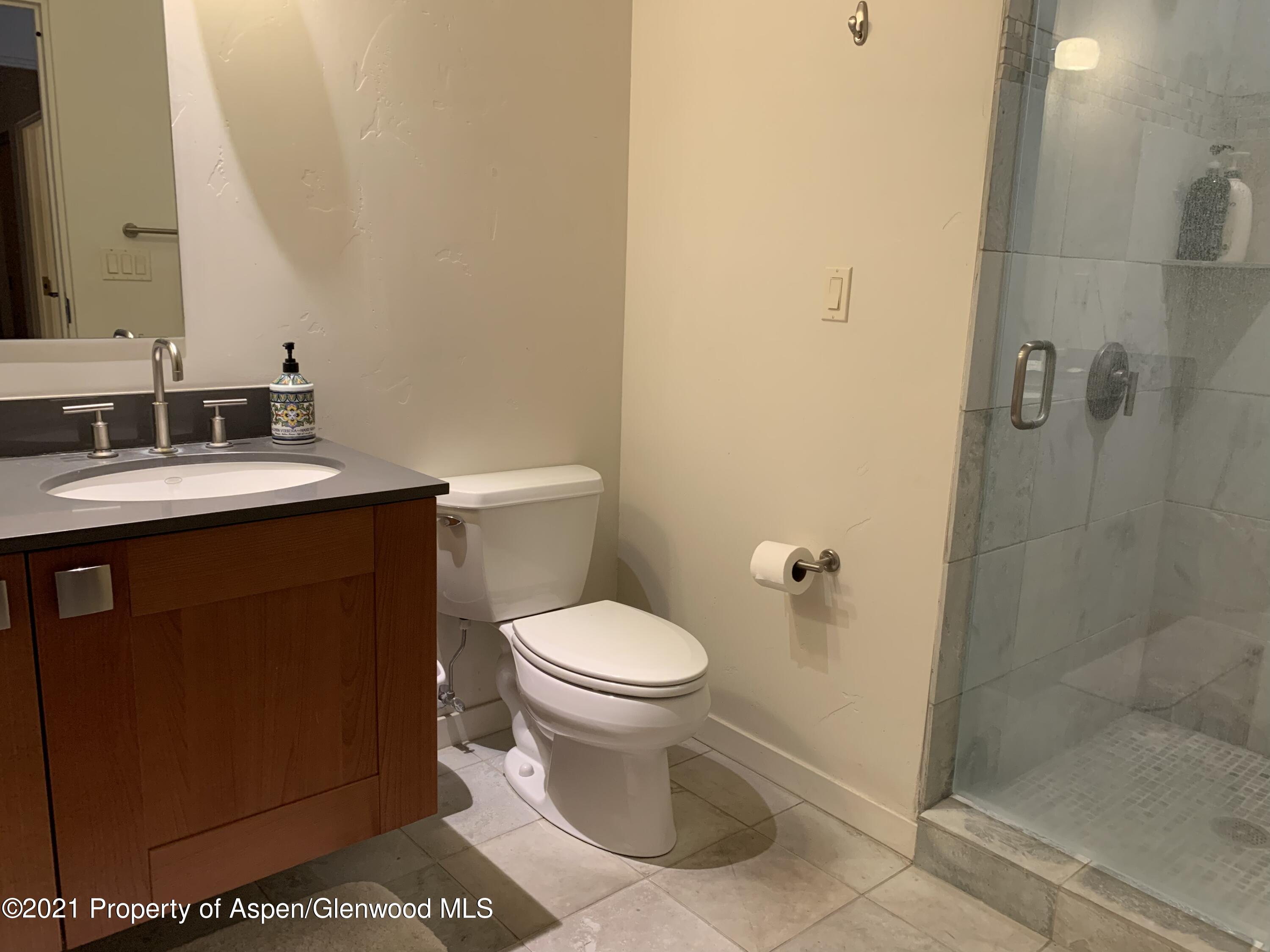 231 Robinson Street, Unit R302 Basalt, CO 81621 - Photo 14 of 31 a bathroom with a sink a toilet and shower