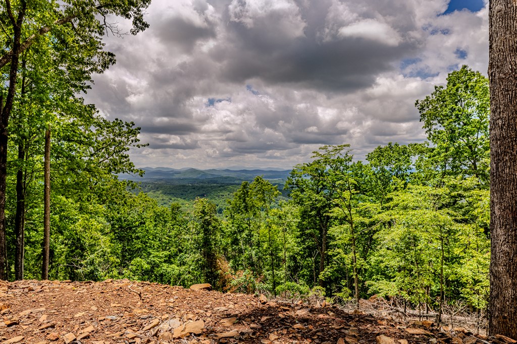 25 Settlement Road Murphy, NC 28906 - Photo 35 of 48 Gallery Image 35