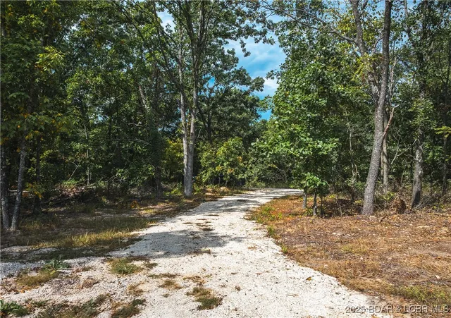 $319,700 | 400 Partridge Drive, Climax Springs, MO 65324