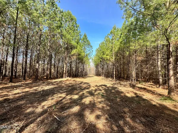 $169,500 | 18.2-acres Range Road, Rougemont, NC 27572