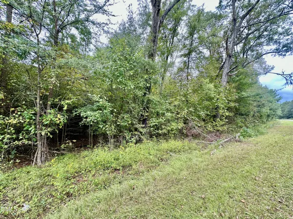 $169,500 | 18.2-acres Range Road, Rougemont, NC 27572