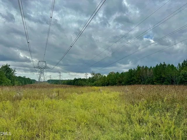 a view of a garden with a tree