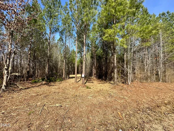$169,500 | 18.2-acres Range Road, Rougemont, NC 27572