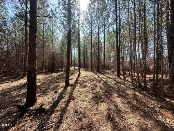 $169,500 | 18.2-acres Range Road, Rougemont, NC 27572