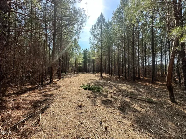 $169,500 | 18.2-acres Range Road, Rougemont, NC 27572