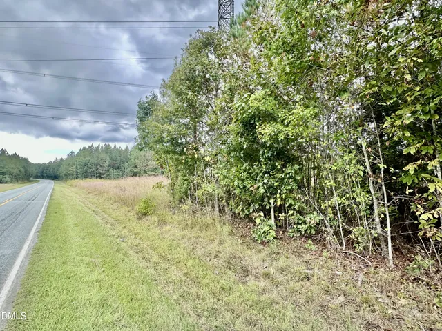 a view of a yard with plants and trees