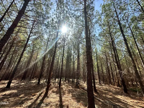 $169,500 | 18.2-acres Range Road, Rougemont, NC 27572