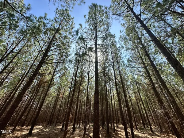 $169,500 | 18.2-acres Range Road, Rougemont, NC 27572