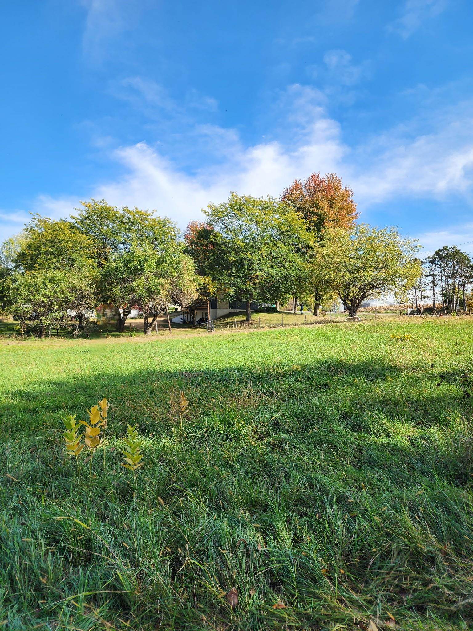205 Highway 64 Lanark, IL 61046 - Photo 20 of 57