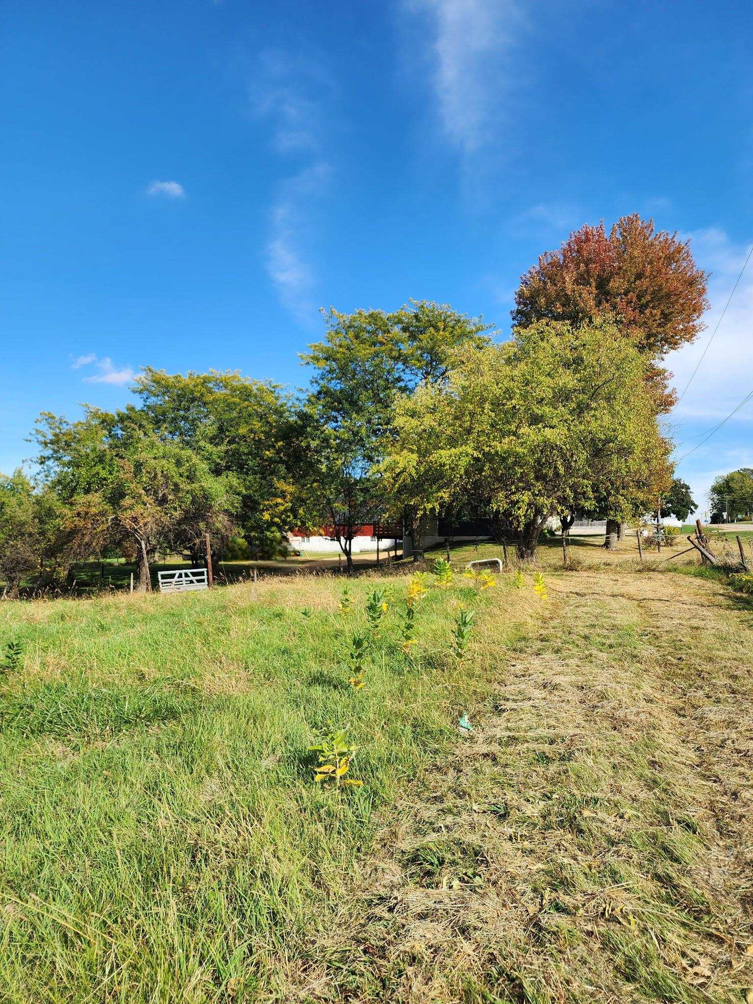 205 Highway 64 Lanark, IL 61046 - Photo 25 of 57