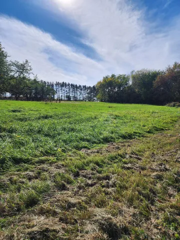 a view of field with grass and trees