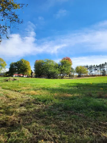 a view of a field of grass and trees