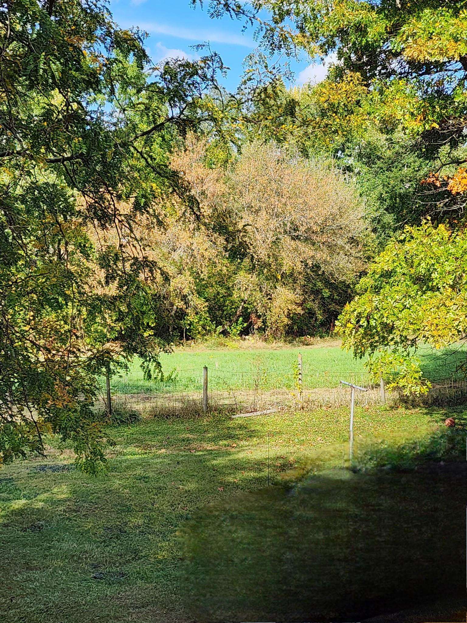 205 Highway 64 Lanark, IL 61046 - Photo 42 of 57