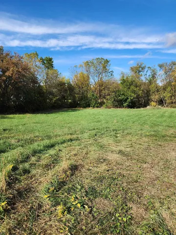 a big yard with lots of green space