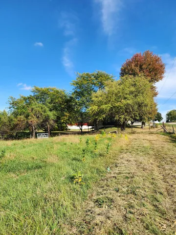 a big yard with lots of green space