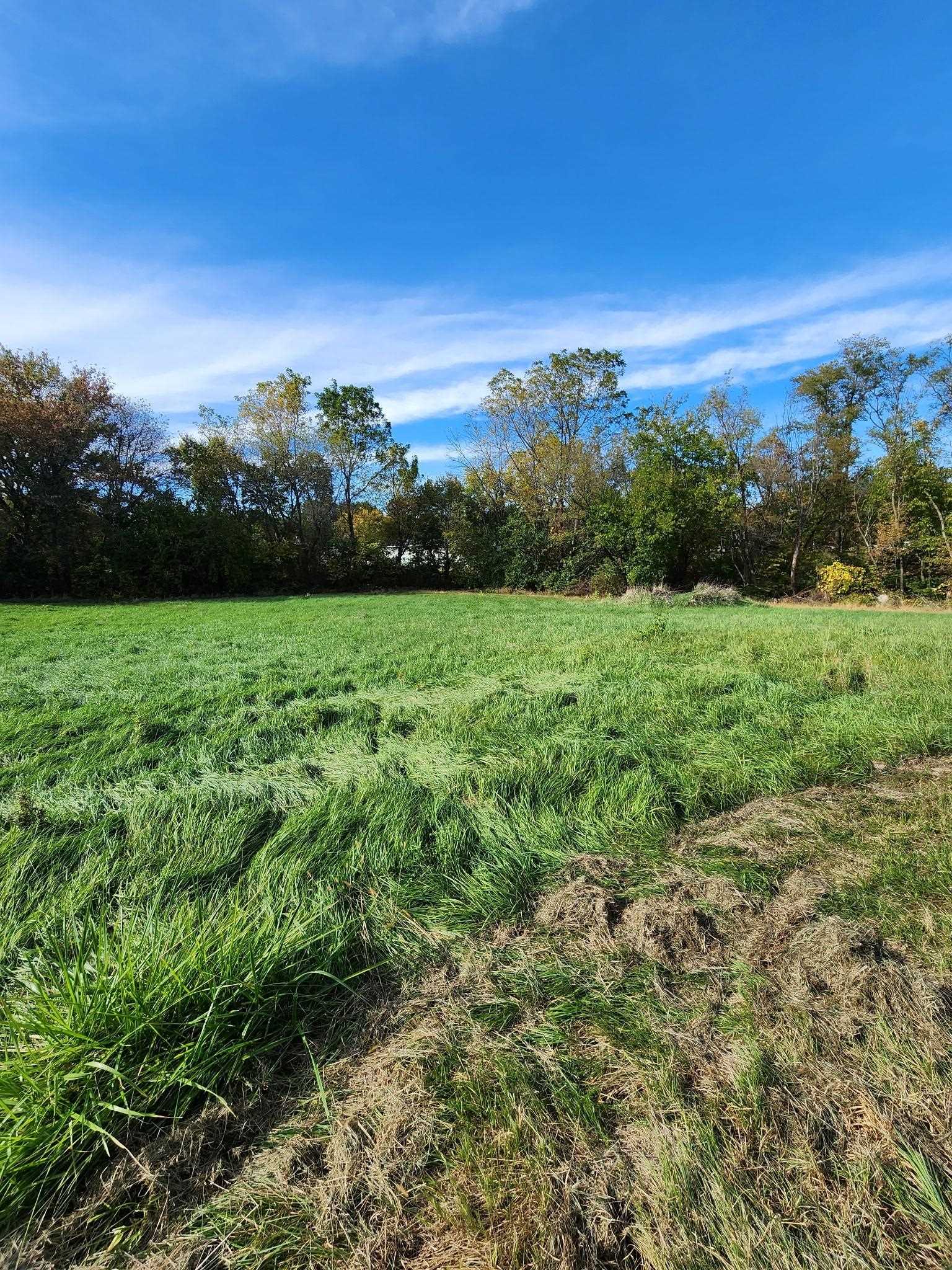 205 Highway 64 Lanark, IL 61046 - Photo 54 of 57