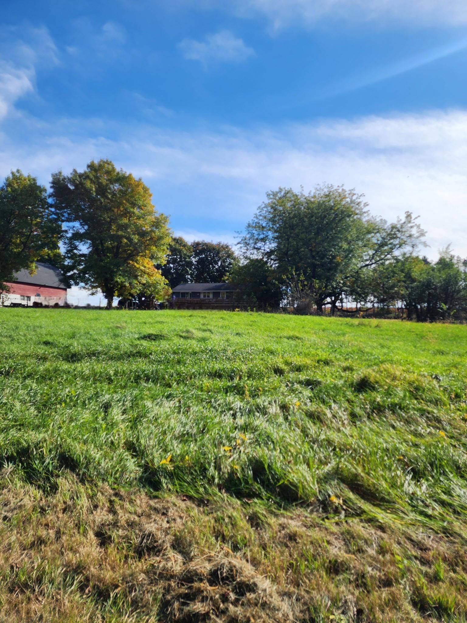 205 Highway 64 Lanark, IL 61046 - Photo 10 of 57