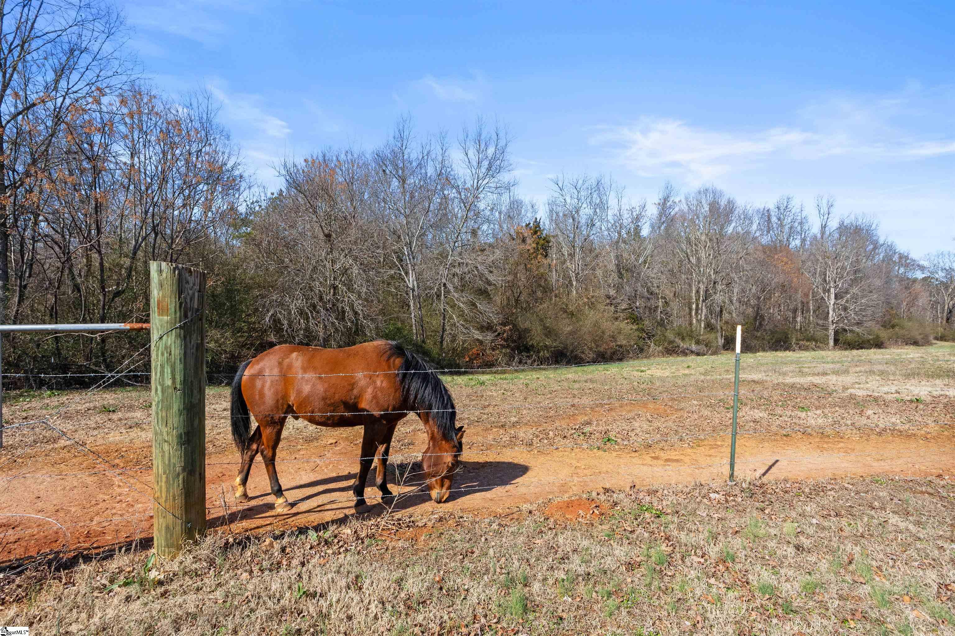 1320 Highway 182 Fair Play, SC 29643 - Photo 2 of 44