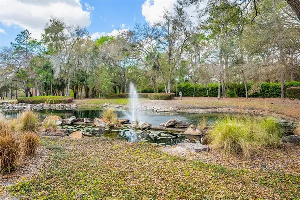 $949,000 | 31778 Red Tail Boulevard, Sorrento, FL 32776