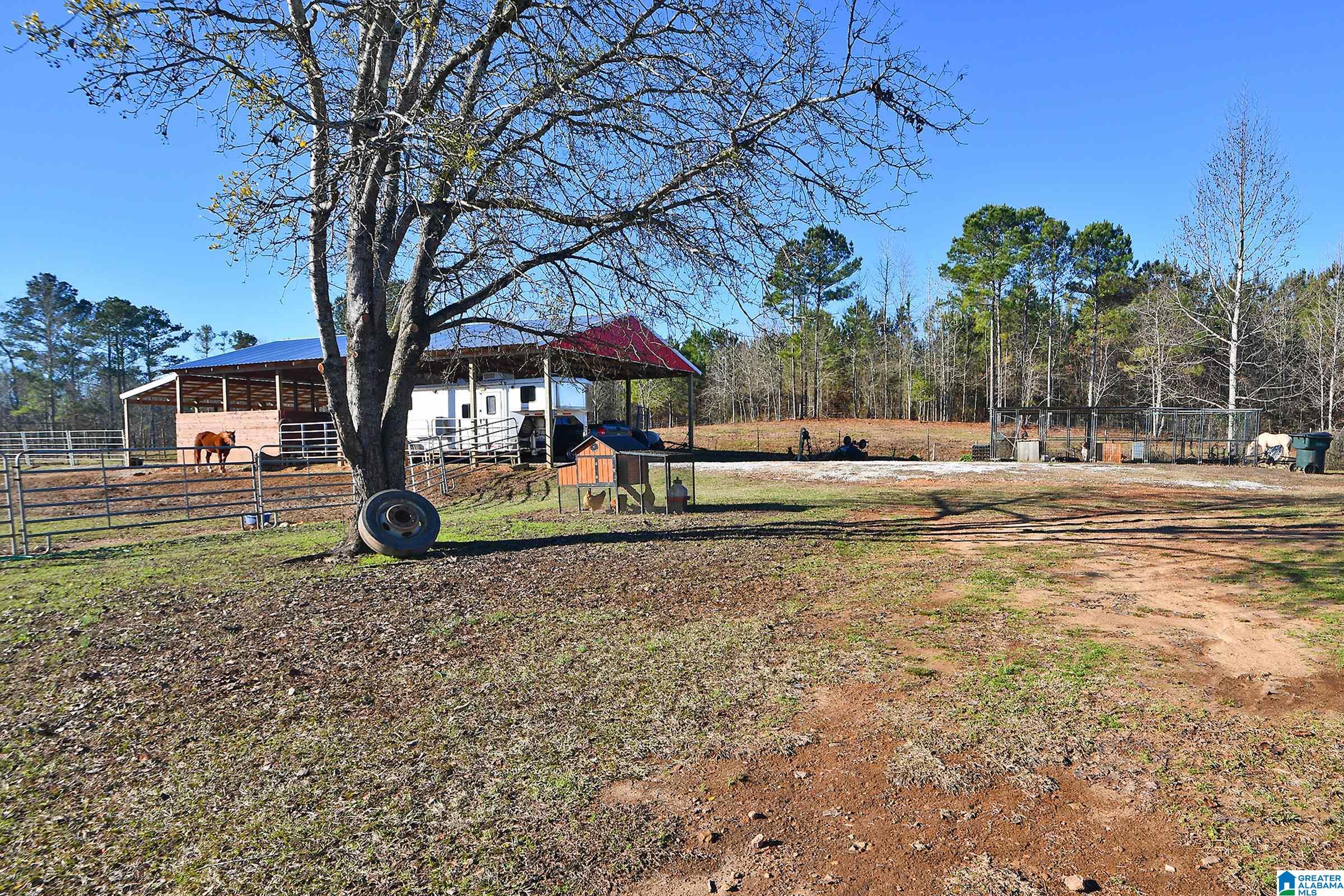 1442 Bluff Valley Road Cragford, AL 36255 - Photo 14 of 66