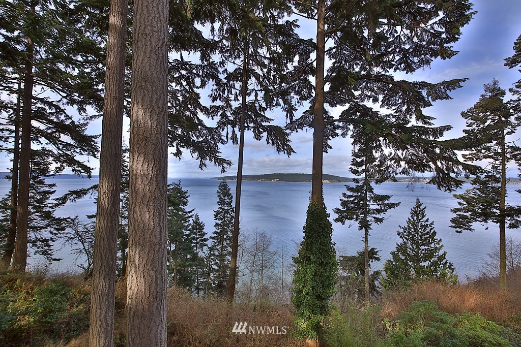 3161 Fox Spit Road Langley, WA 98260 - Photo 21 of 24 Gallery Image 21