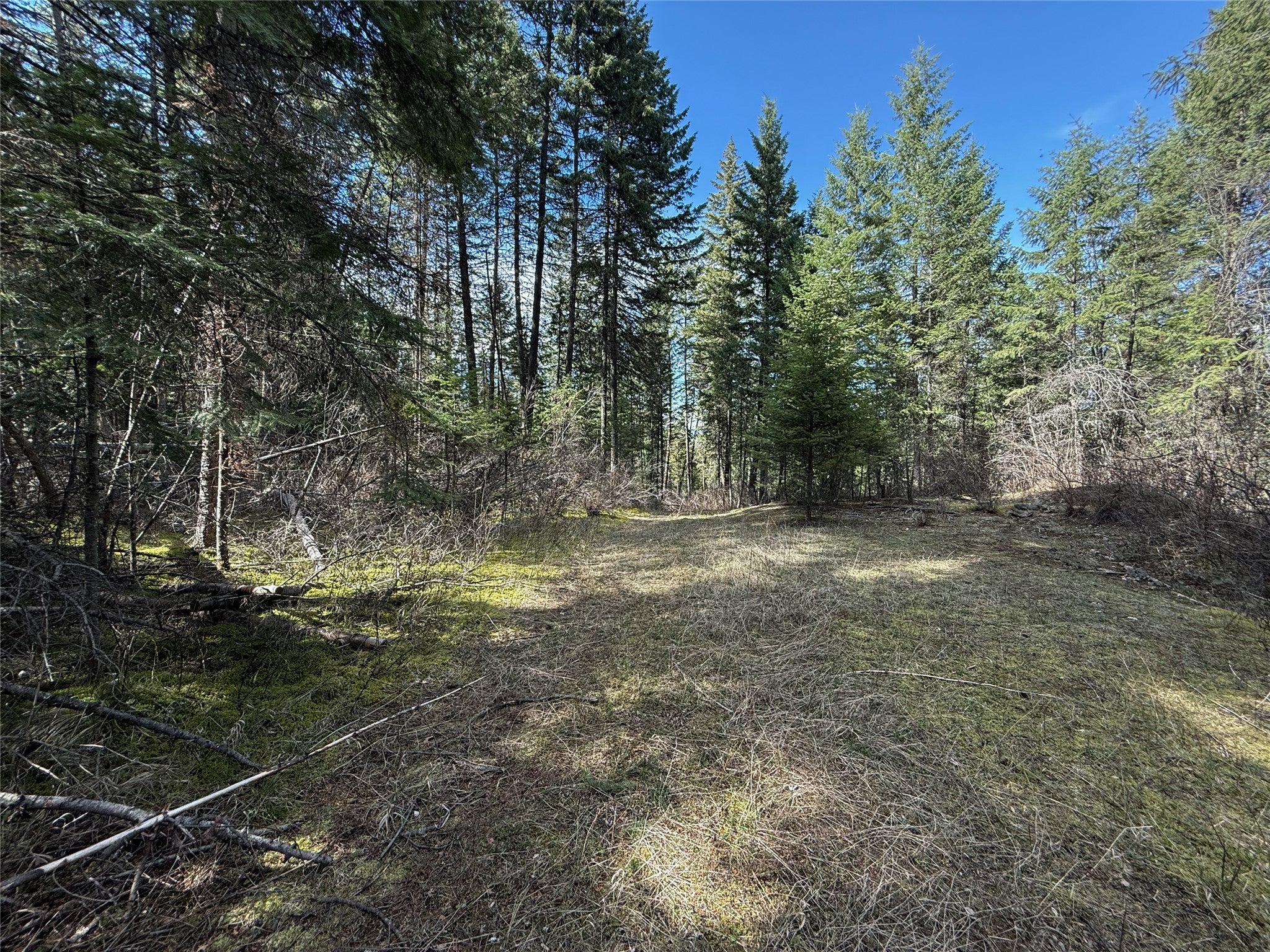 N/a Wapiti Point Road Thompson Falls, MT 59873 - Photo 14 of 17 Gallery Image 14