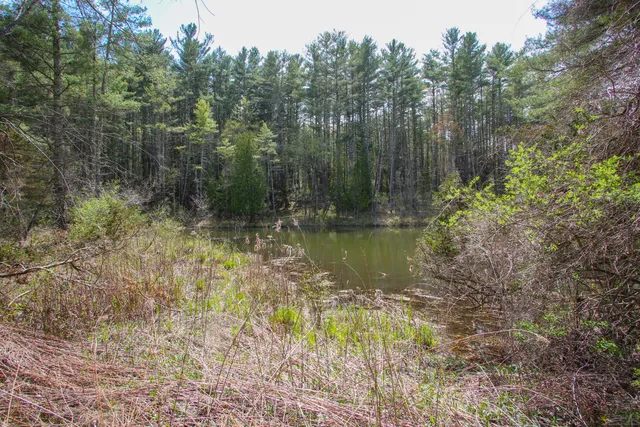 $745,000 | 185 Highway 63, Canaan, CT 06031