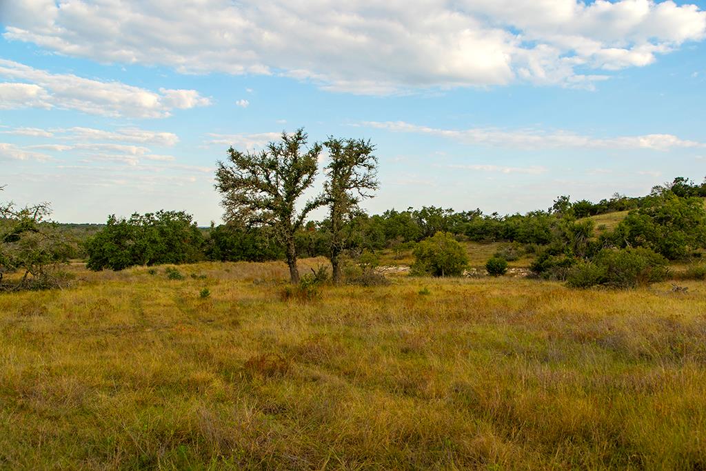 4551 Reeh Road Fredericksburg, TX 78624 - Photo 14 of 69 Gallery Image 14