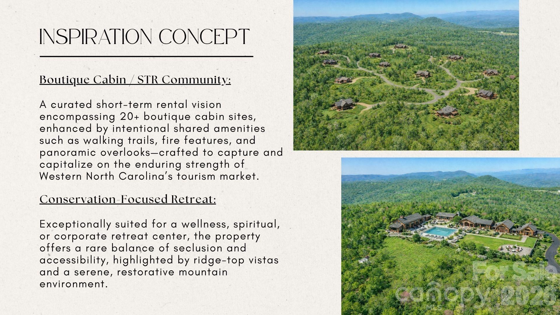 4105 Pinnacle Mountain Road Zirconia, NC 28790 - Photo 8 of 23