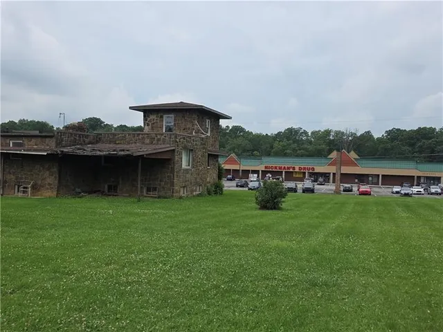 a view of a house with a big yard and a large tree