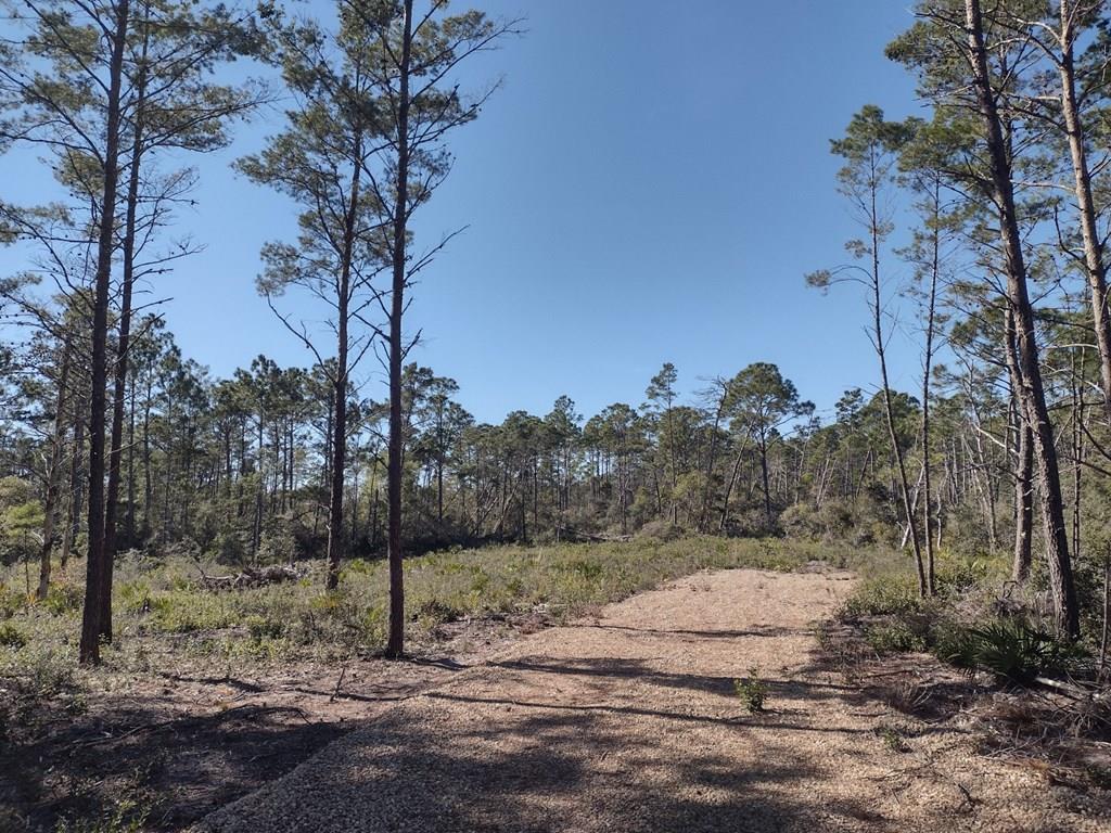 266 River Road Carrabelle, FL 32322 - Photo 1 of 9 Gallery Image 1