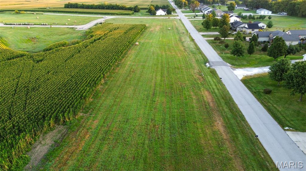 46 Witt Mill Road Jerseyville, IL 62052 - Photo 7 of 12