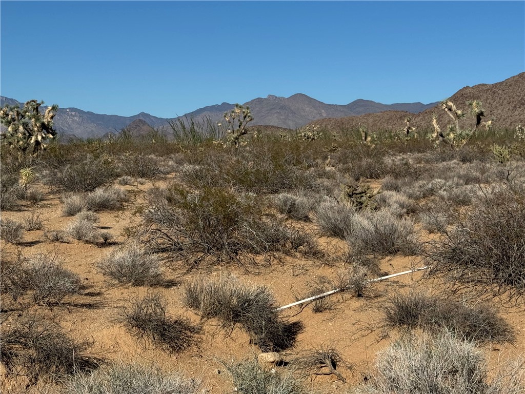 242-03-004 South Sundance Kid Road Yucca, AZ 86438 - Photo 11 of 19